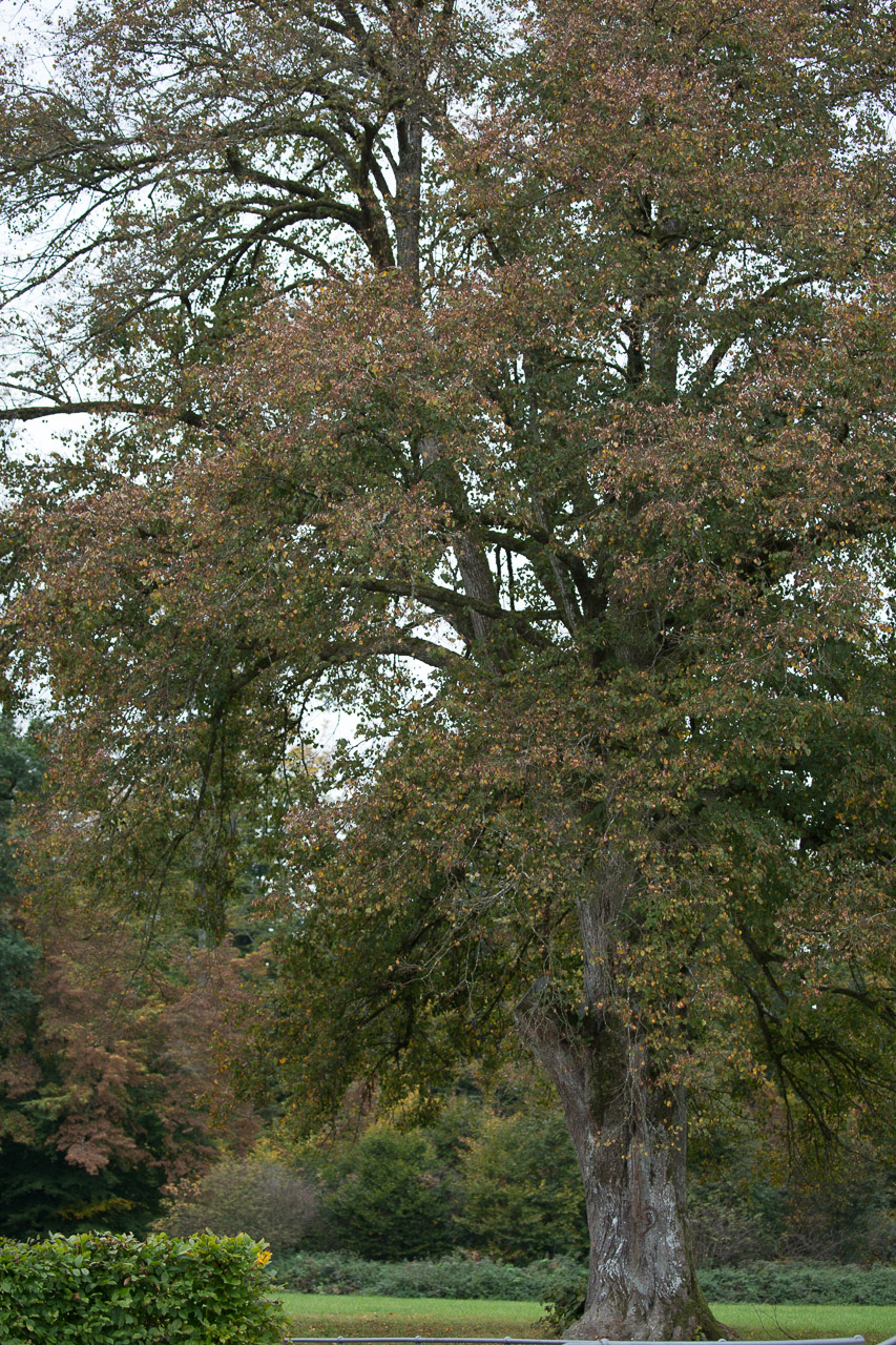 20231014100726 3K6A2169